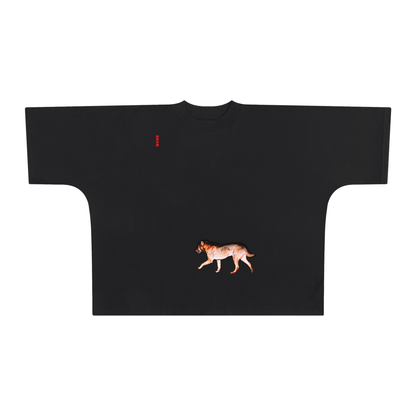 INARI,TOP