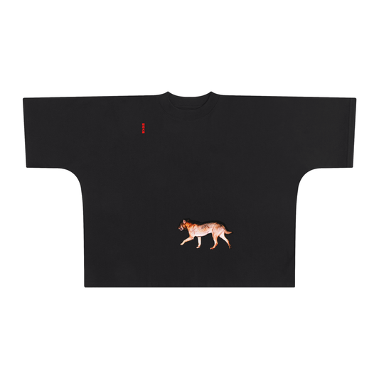 INARI,TOP